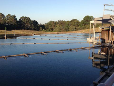 Risk Review of Hunter Water’s Distribution System