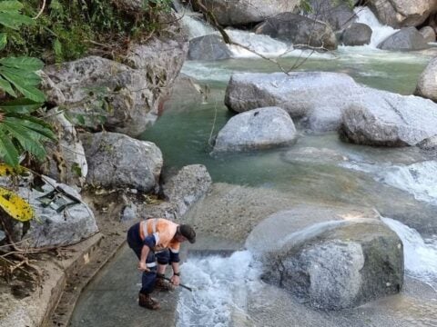 Douglas Shire Council WTP Performance Optimisation