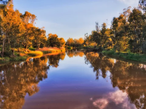 Narromine Concept Design